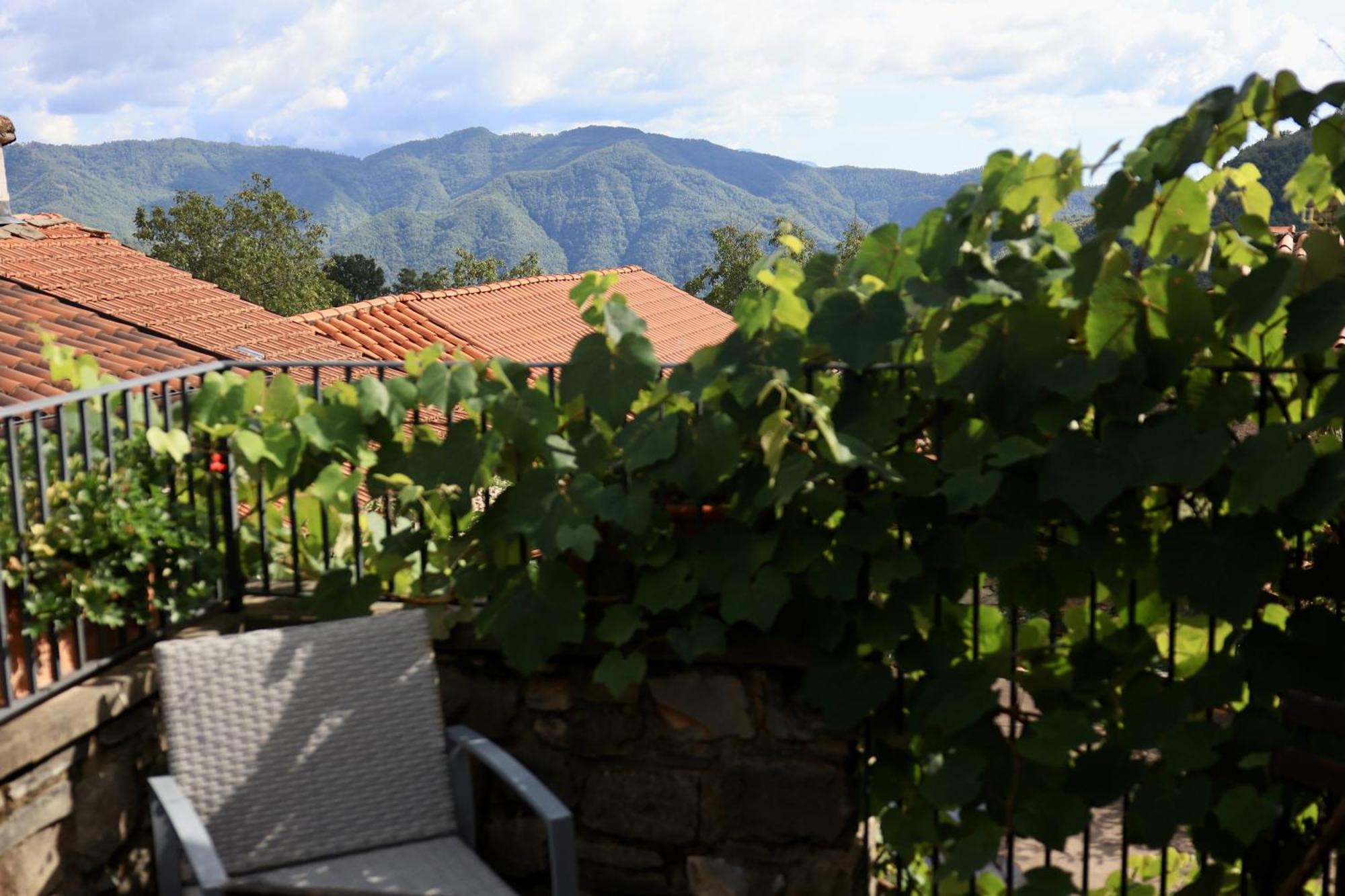 Agriturismo Montagna Verde Apella Licciana Nardi Екстериор снимка