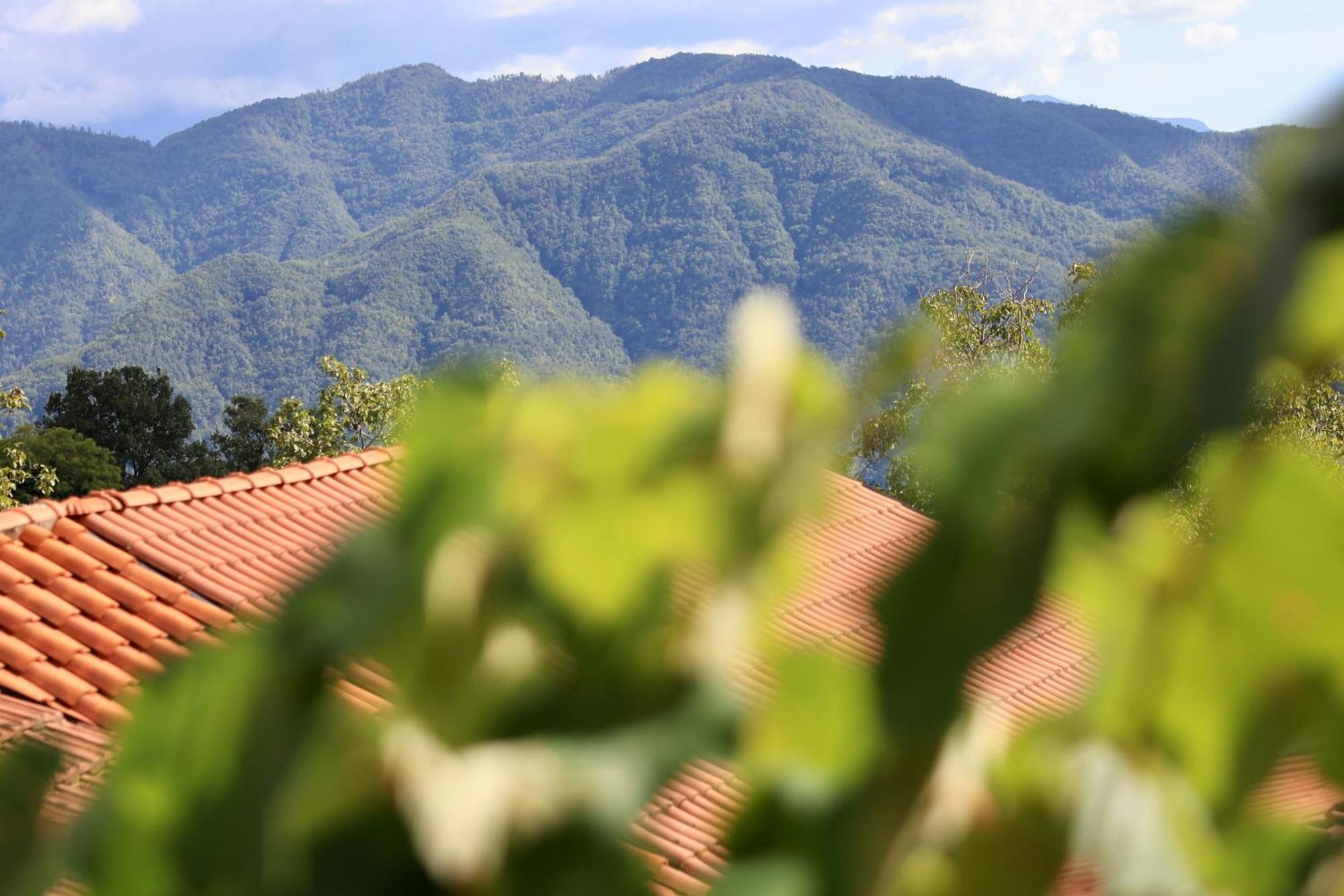 Agriturismo Montagna Verde Apella Licciana Nardi Екстериор снимка